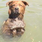 Karin Burger - Facebook