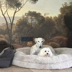 Karin Burger - Facebook