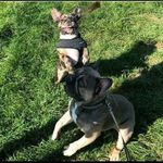 karin burkhart - @karinburkhart5799 - Instagram