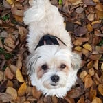 Karin Burki - @karinburki88 - Instagram
