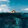 user3933150732421 - @karinburrg - TikTok