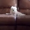 karincarpenter942 - @karincarpenter942 - TikTok
