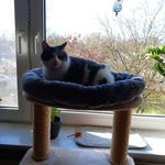 Karin Casper - @calotta1961 - Instagram