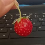 Karin Cherry - @strawcherry38 - Instagram