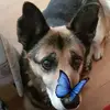 Karin Chewy Hammerba - @karinchewyhammerbacher - TikTok