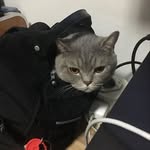 Karin Chin - @karin.chin.503 - Instagram