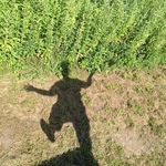 Karin Christophersen - @christophersenkarin - Instagram
