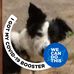 Karin Christopherson - Facebook