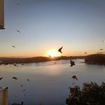 Karin Clausen - @krnclausen - Instagram