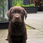 Karin Eckholdt Clausen - @karineckholdtclausen - Instagram