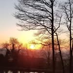 karin clements - @clements.karin - Instagram