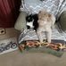 Karen Cody - Facebook