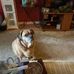 Karen Cody - Facebook
