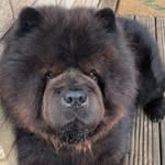 Karin Cody - @karin.cody.68 - Instagram