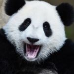 Karin Colvin Foster - @cullenkarin - Instagram