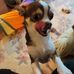 Karin Conklin - Facebook