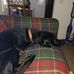 Karen Cooley - Facebook