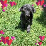 Karin Cooper - Facebook
