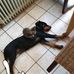 Karin Cornelius - Facebook