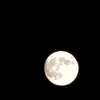 Karin Croucher - @karin.croucher - TikTok
