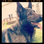 Karin Bowman Cummings - @kcummings527 - Instagram