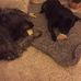 Karin Darby - Facebook