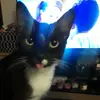karindawson6 - @karindawson6 - TikTok