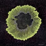 Karin Daymond - @karindaymond - Instagram