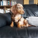 Karin Decker - @karin_decker1404 - Instagram
