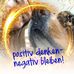 Karin Decker - Facebook