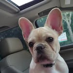 Karin Silvestri Decker - @karindecker - Instagram