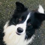 Karin de Vries - @karindevries107 - Instagram