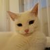 Karin Devries - Facebook