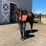 Karin + Dexter - @dexterthehorse_eq - Instagram