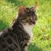 Karin Dick - Facebook