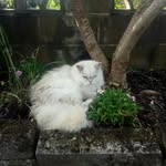 Karin Ditchfield - @karinditchfield - Instagram