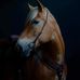 Karin Downes - Facebook