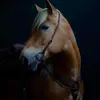 karindownes11 - @karindownes11 - TikTok