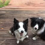 Karin Drummond - @kdandjmb - Instagram