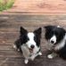 Karin Drummond - Facebook