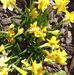 Karin Ebert - Facebook
