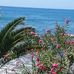 Karin Ebert - Facebook