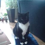 Karin Ebert - @ebert.rostock - Instagram