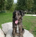 Karin Eklund - Facebook