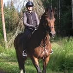 Karin Eklund - @karineklund1 - Instagram