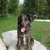 Karin Eklund - @karin.eklund - TikTok