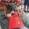 karineng1 - @karineng1 - TikTok