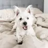 Karineng - @karineng15 - TikTok