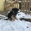 Karin Engel848 - @karinengel848 - TikTok