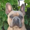 Karin - @karin.engel - TikTok